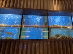 -珍宝海鲜JUMBO Seafood(尚嘉店)