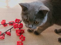 -第三空间·趣味桌游·轰趴.室内CS.剧本杀(大武汉1911店)