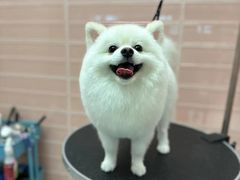 -FAELING PETS美天灵宠物(合生汇店)