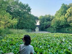 环境-解香楼(八盘岭路店)