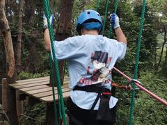 -芦仙山景区-飞越丛林探险乐园