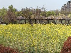 -自然谷恐龙园