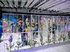 -宁波冰雪大世界(北仑区)