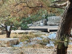 -会宾园·云山宴中餐