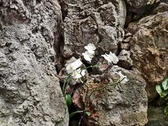 -南通洲际绿博园