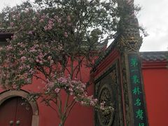 -古大圣慈寺