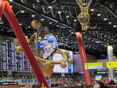 -谢列梅捷沃国际机场