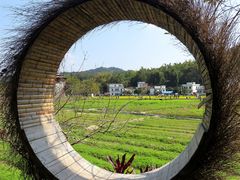 -红山村