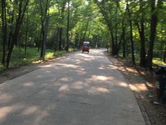 -廊坊市自然公园