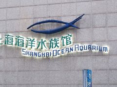 -上海海洋水族馆