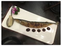 -大渔铁板烧(中山路八佰伴店)