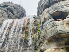 -新加坡飞禽公园