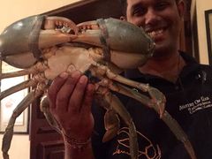 Ministry&nbsp;of&nbsp;Crab-Ministry of Crab(科伦坡店)