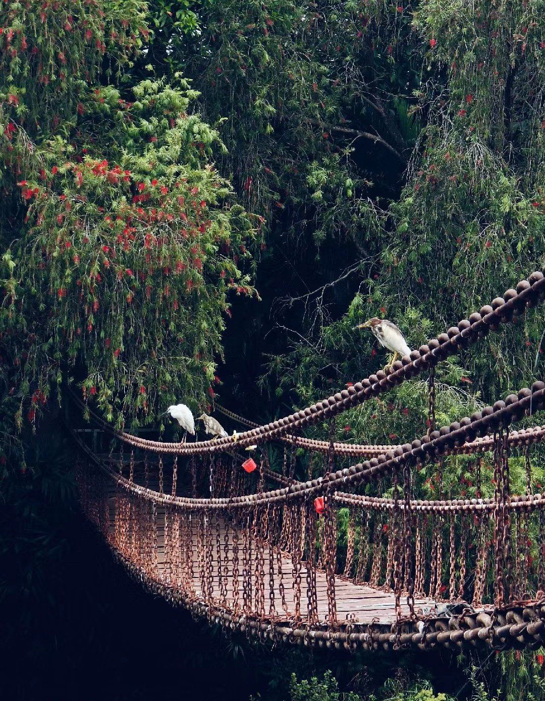 十堰交警发布安全提示：雨雪天出行这些路段请注意！