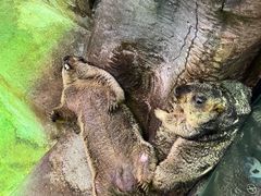 -福州罗源湾海洋世界旅游区