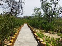 -白水寺森林公园