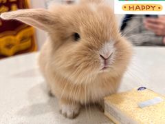 -佳雯宠物医院(四明中路分院)