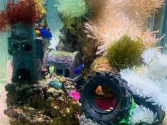 -太平洋海底世界