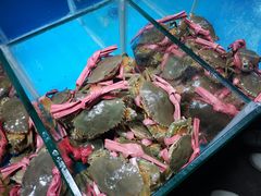-都斛海鲜街