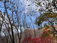 -关门山森林公园