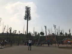 -枫香湖儿童公园