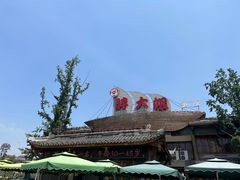 -胖大姐黄辣丁鱼庄(新津店)