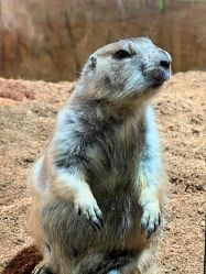 -Zoolung Zoolung动物主题公园(海信广场店)