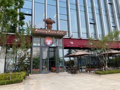-了不起的考拉咖啡店(高新店)