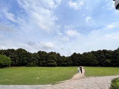 -上海共青森林公园