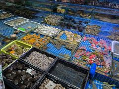 -霞涌市场海鲜摆卖区