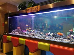 -御池园(顾村公园店)