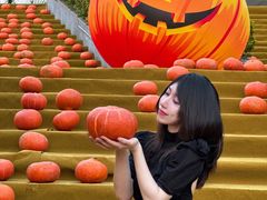-灵玲国际马戏城