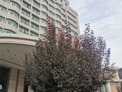 -怀来国际大酒店·丰宴餐饮