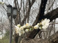 -玲珑塔公园