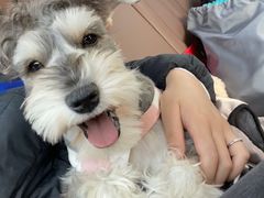 -北京赛佳动物医院