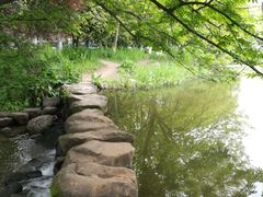 -旅马餐厅(茅家埠店)