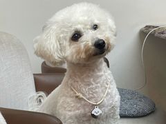 -Line 咖啡(石厦花园店)