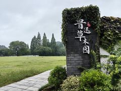 -鲁镇