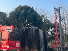-合肥滨湖国家森林公园