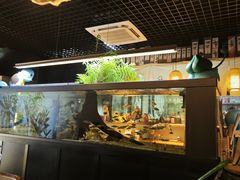 -阿泽料理