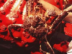 -蟹之国·精品蟹料理(极地店)