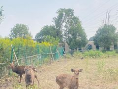 -不觉晓CAMPING(上海迪士尼营地店)