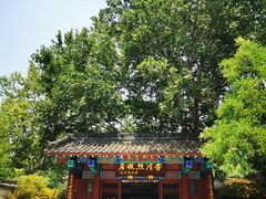 -百脉泉景区