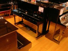 -雅马哈钢琴专卖店盛世雅歌琴行·电钢琴城·钢琴培训(翠微路店)