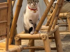 -铜瓢江湖兔火锅(水碾河社区店)