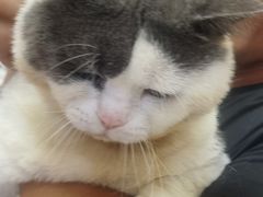-贝利宠物医院·骨科·眼科·肿瘤转诊中心(南坪诊疗中心)