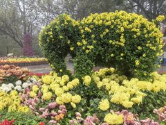 -南山植物园