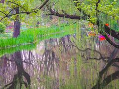 -上海共青森林公园