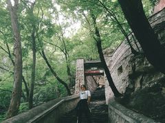 -北京上方山国家森林公园
