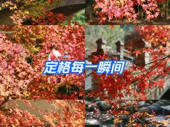 -田野绿世界